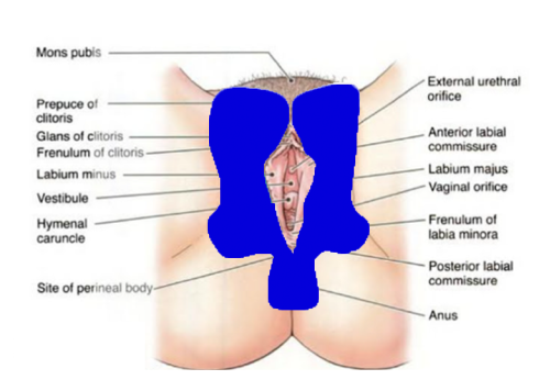 peels on intime areas